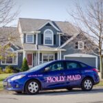 Molly Maid Franchise (1)