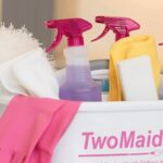 Two Maids & A Mop Franchise (4)